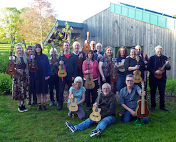 cover image of Acoustic Noise Collective