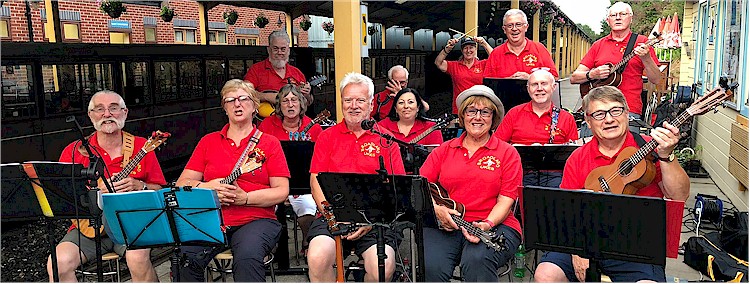 cover image of Broadland Ukes