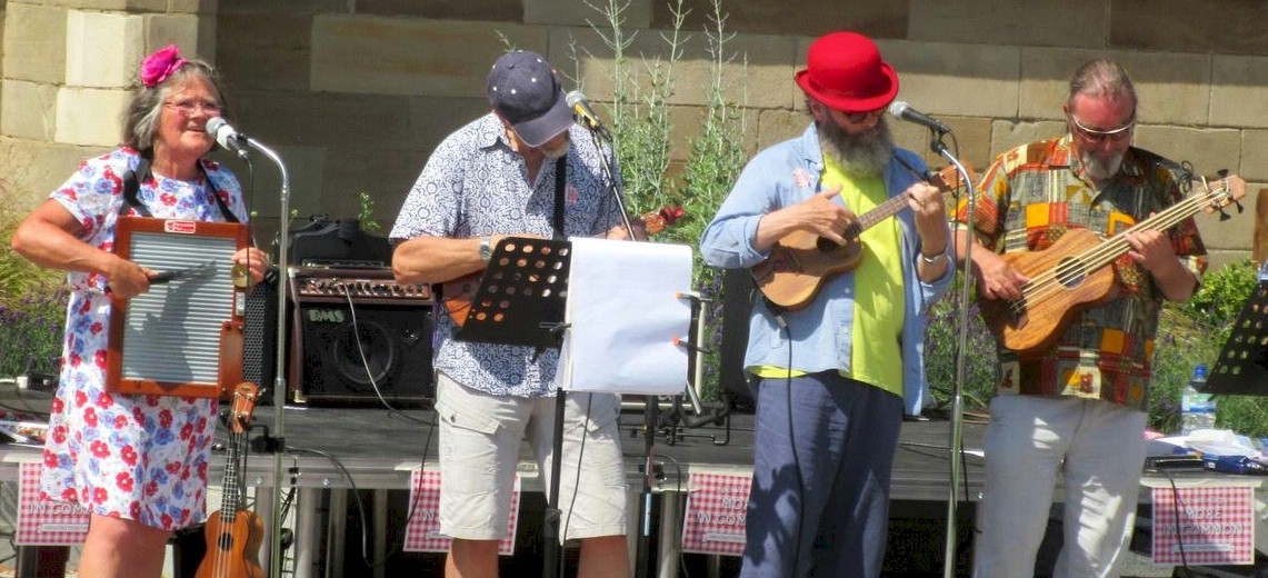 cover image of The First Monday Ukulele Club
