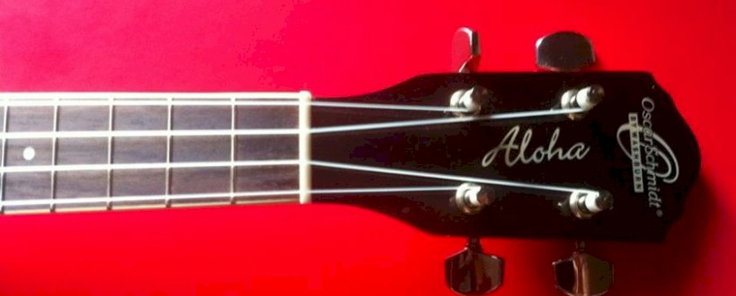 cover image of Flukes Ukulele Collective