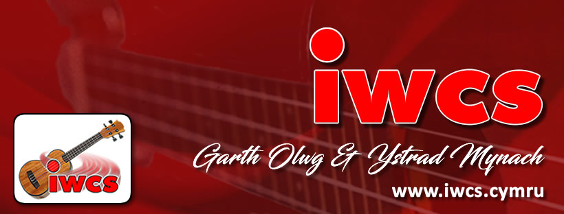 cover image of IWCS