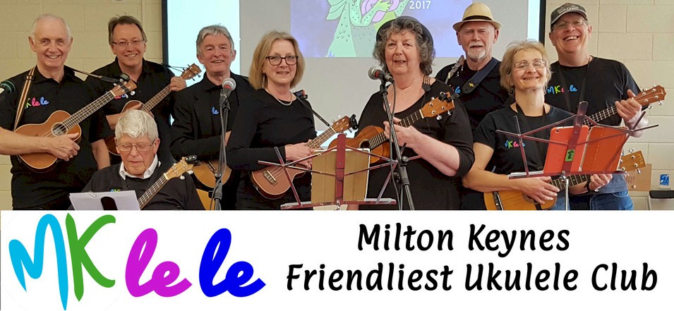 cover image of MK Lele
