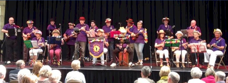 cover image of Morecambe Ukulele Club