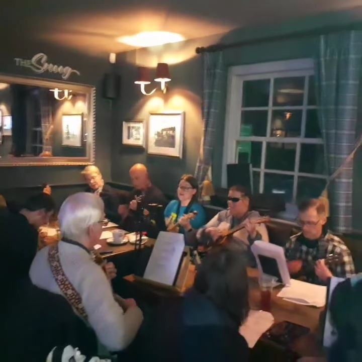 cover image of Paddock Wood Ukulele Club 