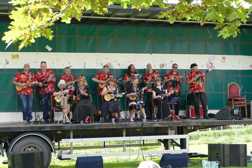 cover image of The Palmy Uke Band