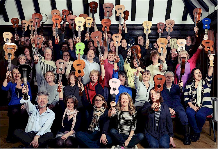 cover image of The People's Ukulele Brigade