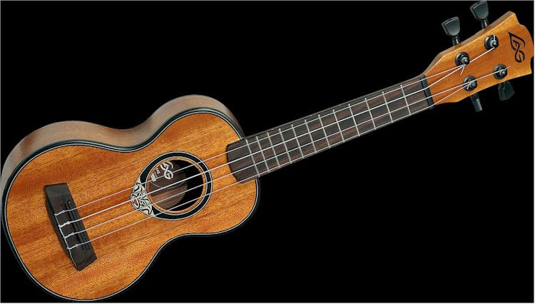 cover image of Preston Ukulele Strummers Society