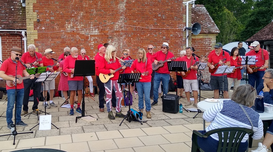 cover image of Romsey Ukulele Group