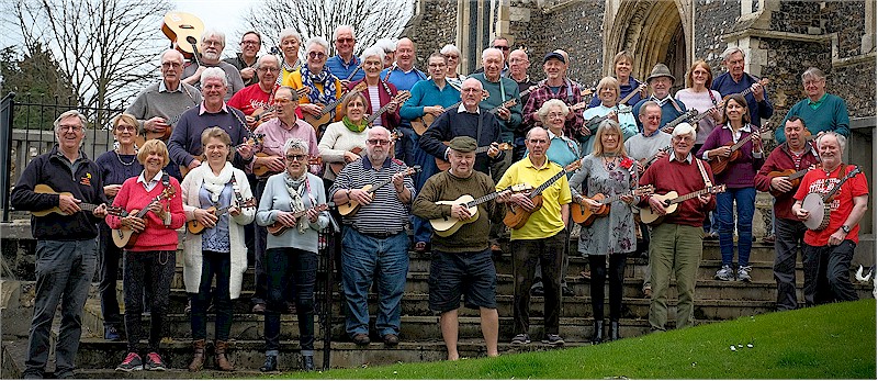 cover image of Rumpus Ukulele