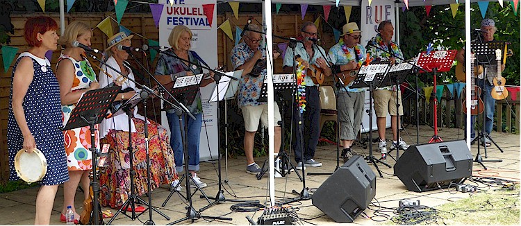 cover image of Rye Ukulele Experiment