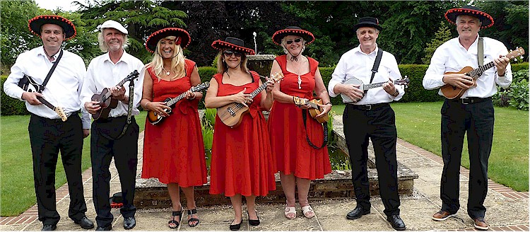 cover image of SaltDish Ukulele Group