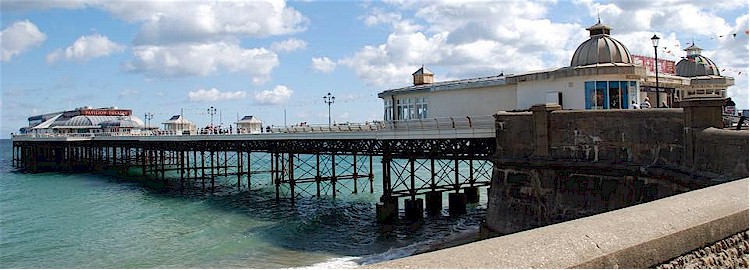 cover image of The Seaside Strummers Ukulele Group