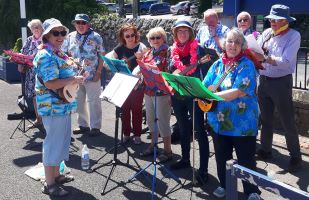 cover image of Silverdale Strummers