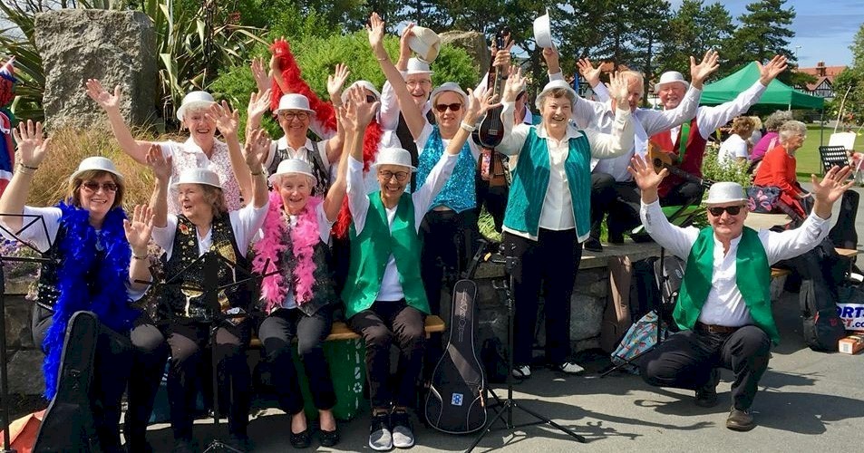 cover image of Silverstars Ukulele Show Band