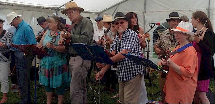 cover image of Soberton Strummers