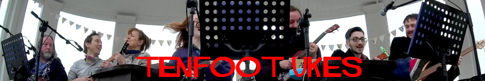 cover image of TENFOOT UKES