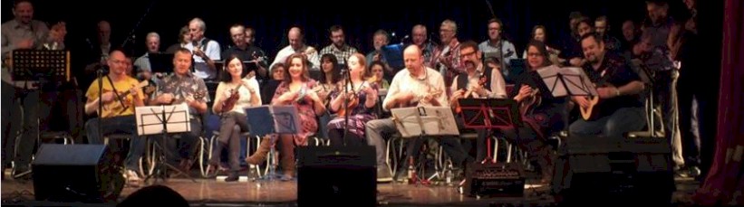 cover image of Tunbridge Wells Ukulele Night Thing