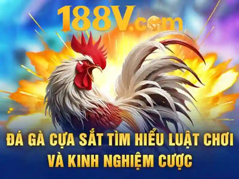 💎nha cai uy tin dv💎 💎nha cai uy tin dv💎