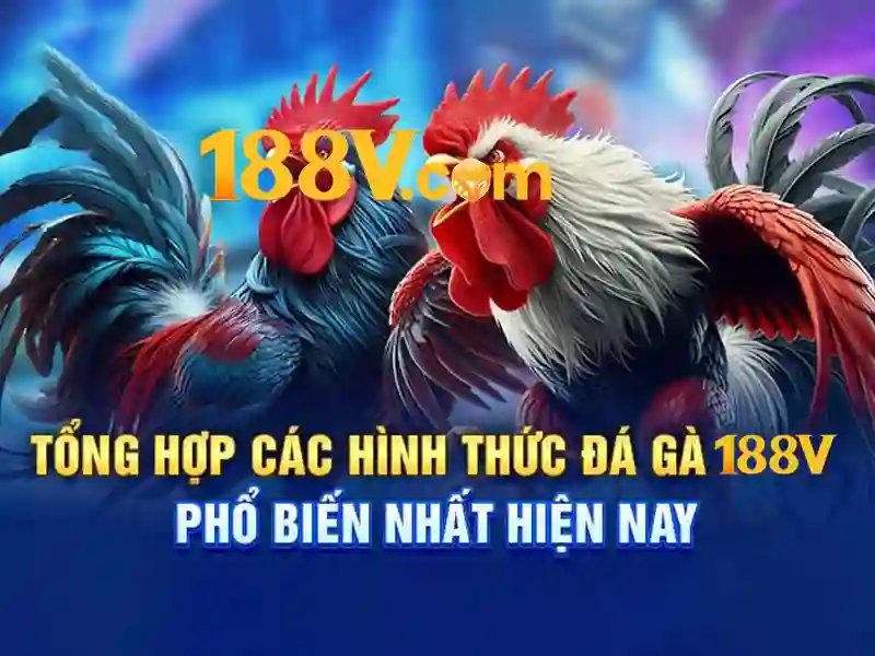 💎cách đánh sập nhà cái💎 💎cách đánh sập nhà cái💎