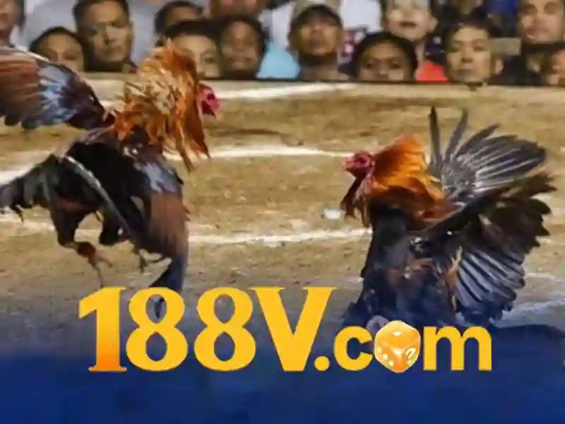 💎nha cai bong da uy tin💎 💎nha cai bong da uy tin💎