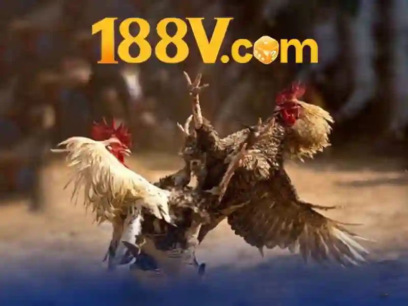 💎cách tính tiền đánh bạc💎 💎cách tính tiền đánh bạc💎