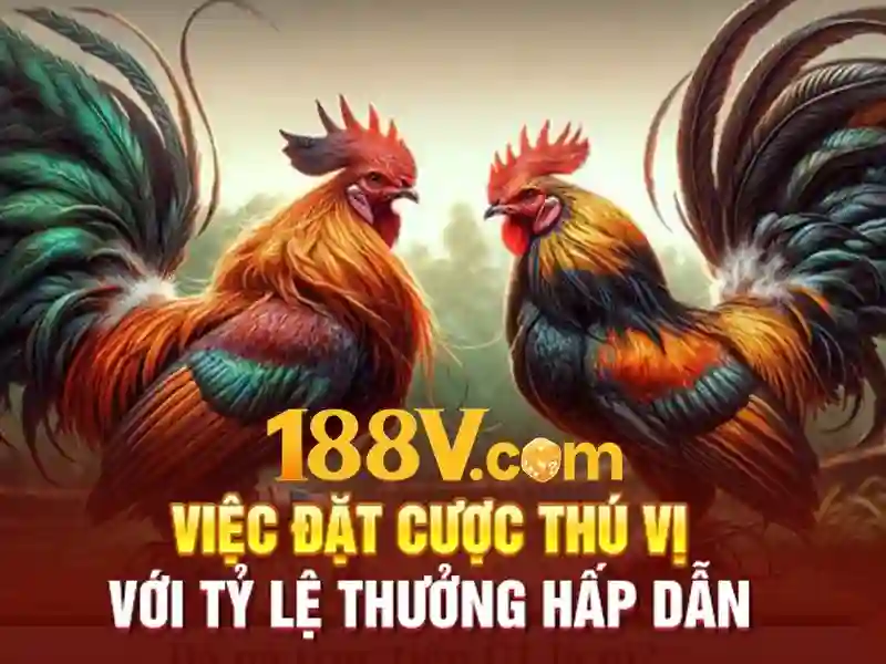 188v – Link Vào 188BET Chính Thức | Trang Chủ Cá Cược Uy Tín 2026 188v – Link Vào 188BET Chính Thức | Trang Chủ Cá Cược Uy Tín 2026