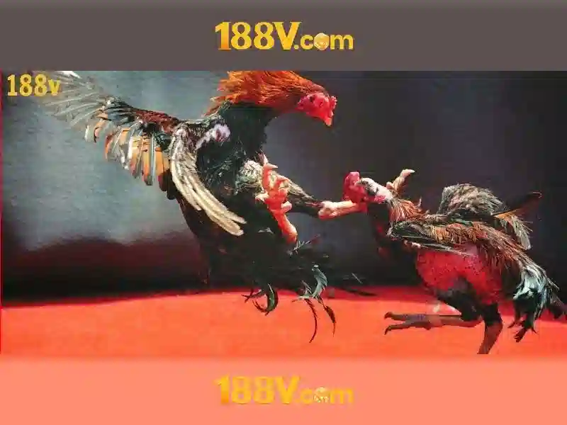 💎leovegas slots website💎 💎leovegas slots website💎