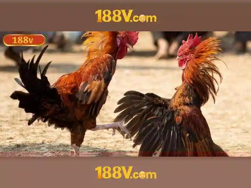 💎keo nha cai qatar ecuador💎 💎keo nha cai qatar ecuador💎