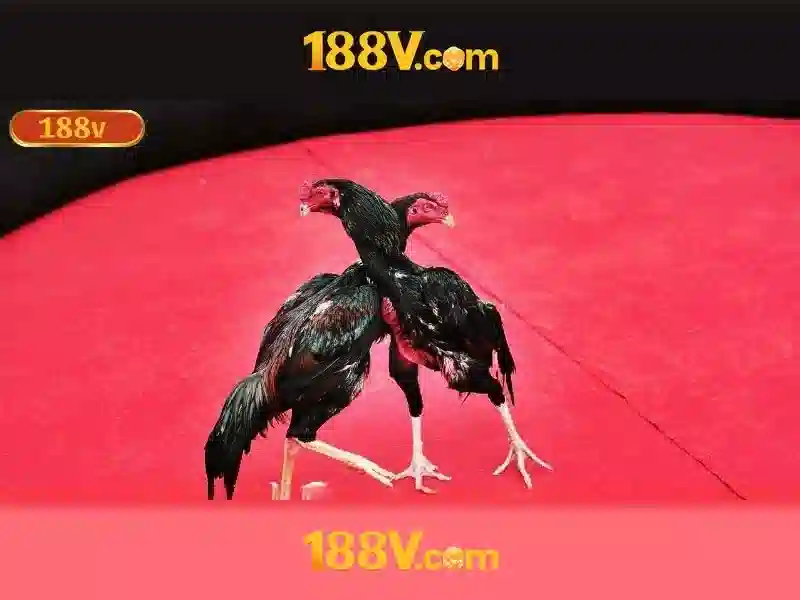 💎slots pk 31💎 💎slots pk 31💎