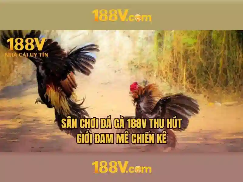 dịch vụ khách hàng - 188V dịch vụ khách hàng - 188V