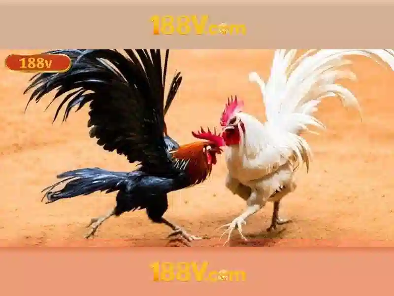 💎play game slots online💎 💎play game slots online💎