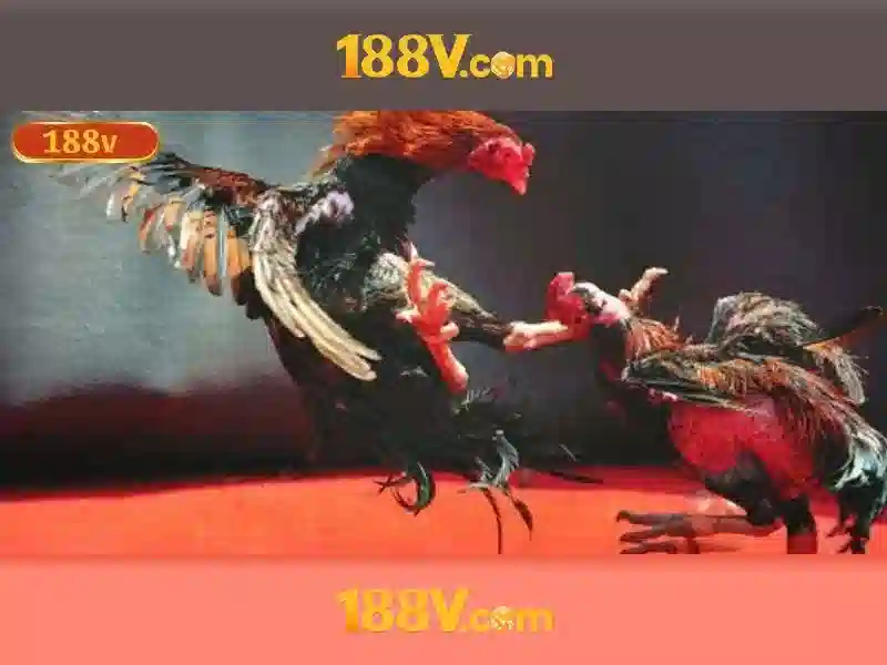 💎slots for free and fun💎 💎slots for free and fun💎