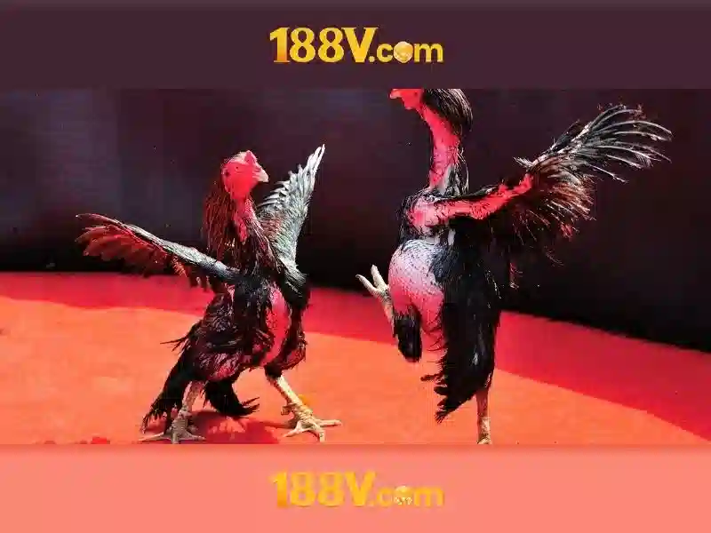 💎trang bóng đá nhà cái💎 💎trang bóng đá nhà cái💎