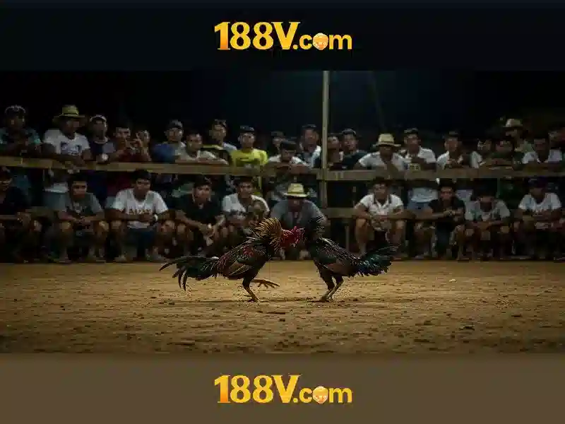 trò chơi đổi thưởng - 188V trò chơi đổi thưởng - 188V