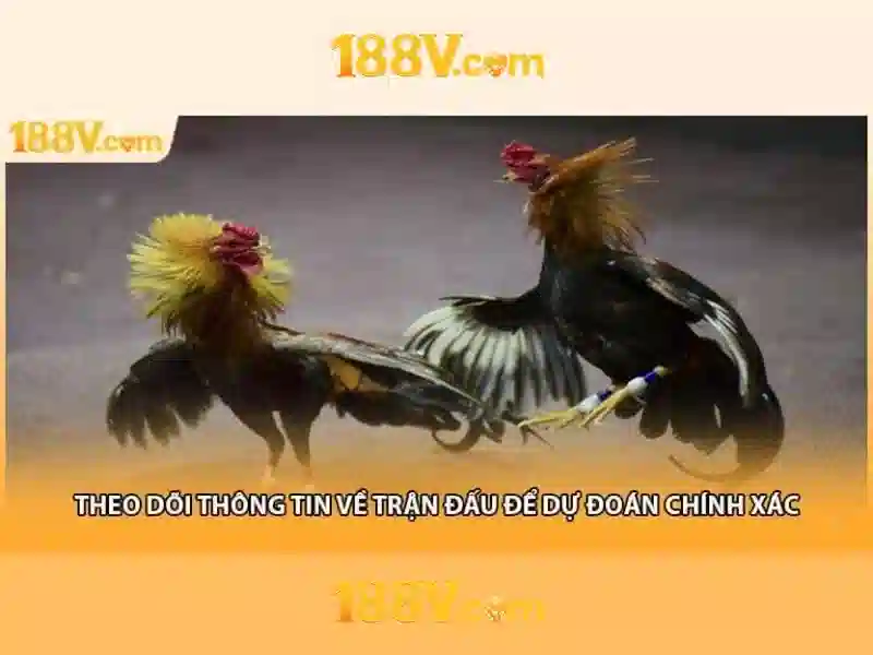 💎đọc truyện yêu anh suốt cả cuộc đời💎 💎đọc truyện yêu anh suốt cả cuộc đời💎