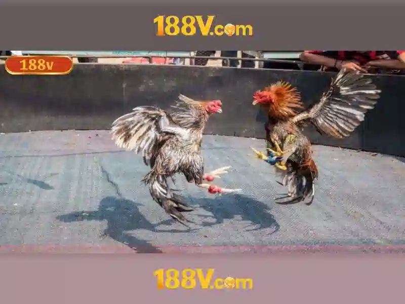 💎nhà cái uy tín tnc65💎 💎nhà cái uy tín tnc65💎