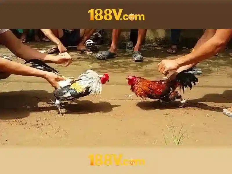 💎myjackpot.com free slots💎 💎myjackpot.com free slots💎