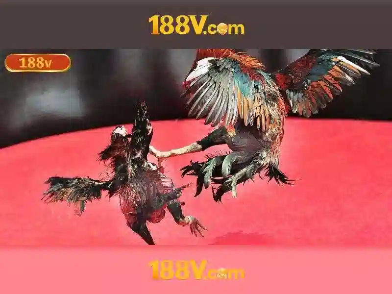 💎slot cost shipping💎 💎slot cost shipping💎