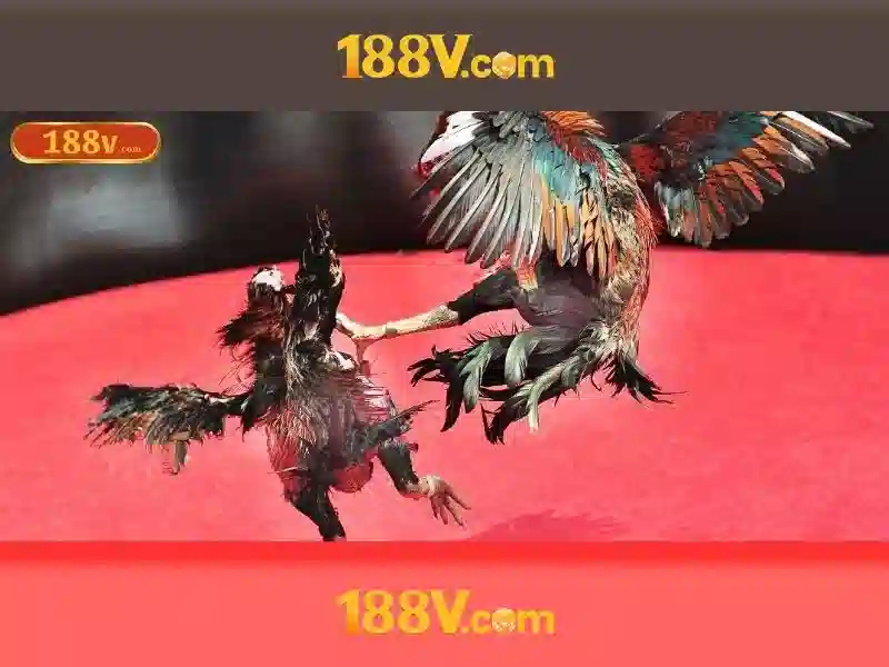 💎balon 69 slot💎 💎balon 69 slot💎