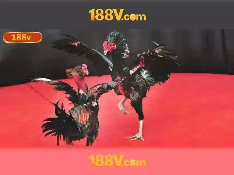 💎camon cm price in slot💎 💎camon cm price in slot💎