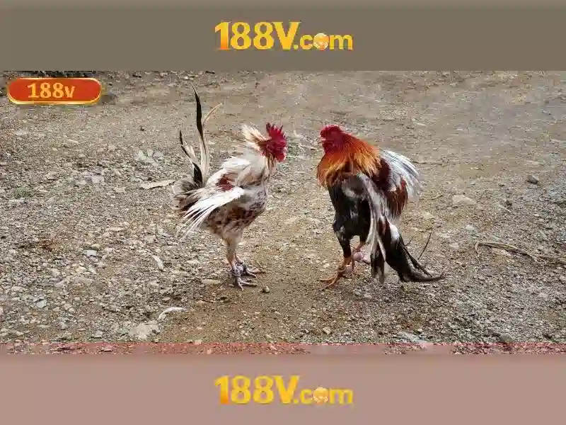 💎link slot gacor via dana💎 💎link slot gacor via dana💎