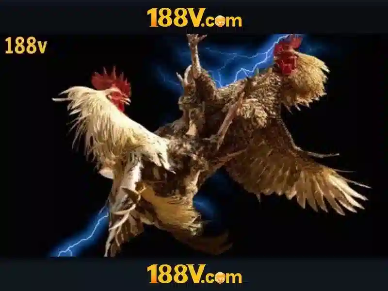 💎luckyland best slots💎 💎luckyland best slots💎