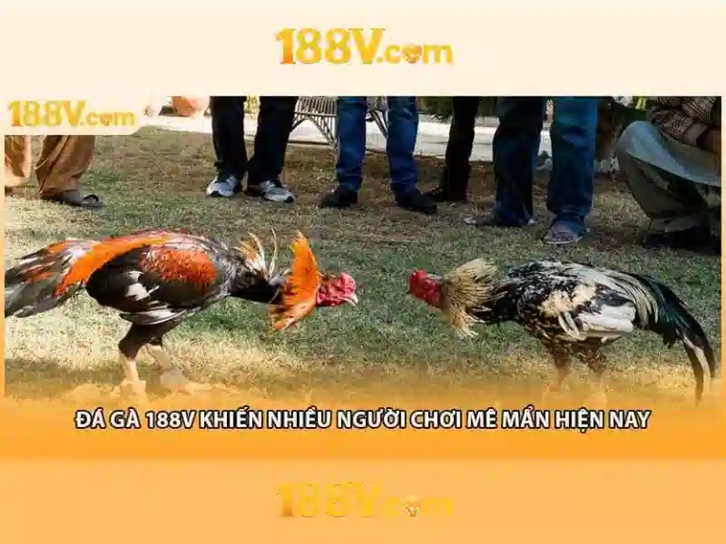 💎luchadora slot💎 💎luchadora slot💎