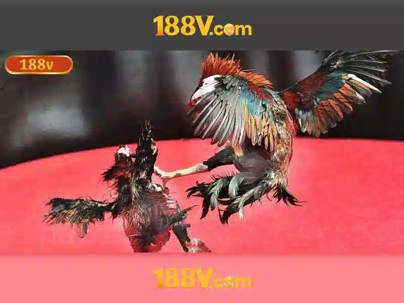 💎cats slots machine💎 💎cats slots machine💎