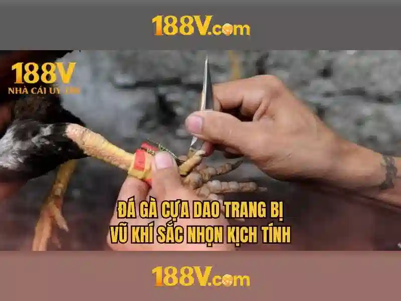 💎nha cai tang tien mien phi khi dang ky💎 💎nha cai tang tien mien phi khi dang ky💎