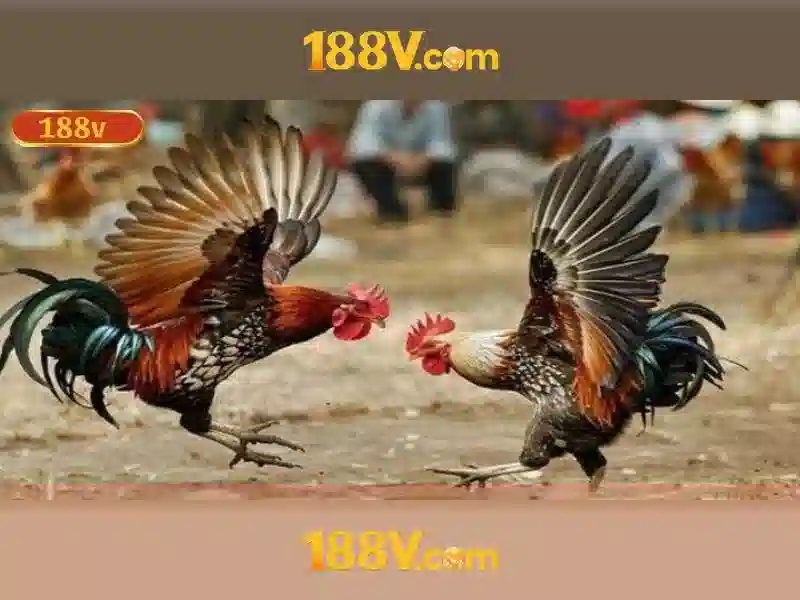 💎phân tích bài thơ đánh bạc💎 💎phân tích bài thơ đánh bạc💎