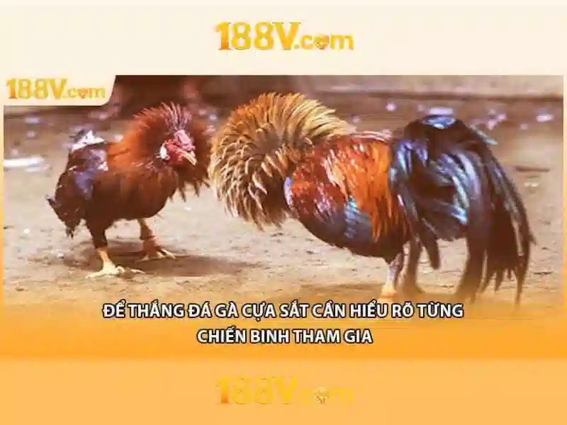 💎cuộc chiến cá sấu và sư tử💎 💎cuộc chiến cá sấu và sư tử💎