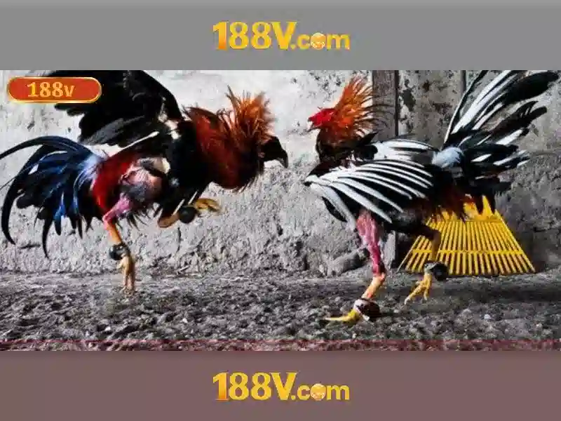 💎nhà cái cf68 mới nhất💎 💎nhà cái cf68 mới nhất💎