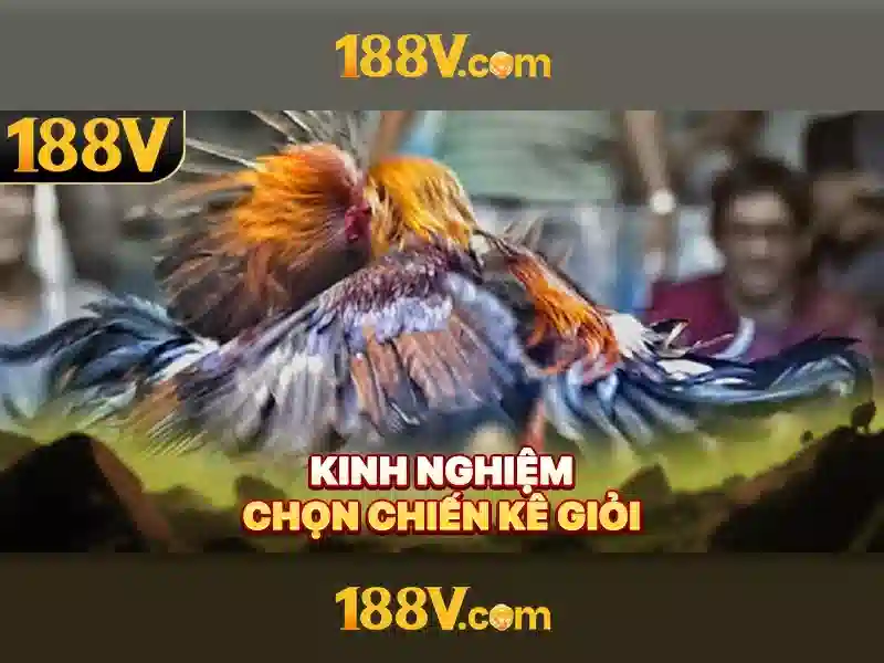 💎slots pagantes💎 💎slots pagantes💎