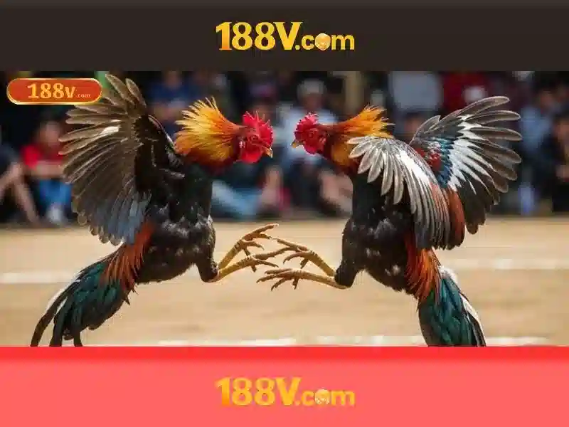 💎188bet nhà cái uy tín hàng đầu châu ad💎 💎188bet nhà cái uy tín hàng đầu châu ad💎